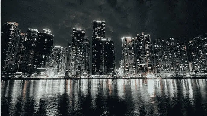 一个人WWW视频在线观看免费 - 城市之光：霓虹背后的人间烟火